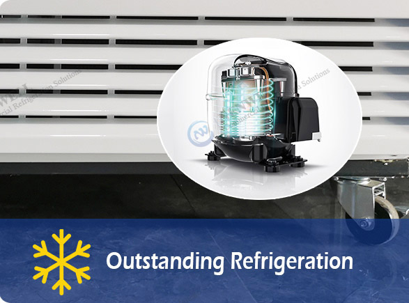 Outstanding Refrigeration |NW-LG268-300-350-430 koeler mei ien doar