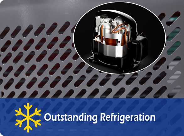 Excelente Refrigeração |Serviço de balcão NW-RG20C