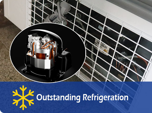 Refrigerazione eccezionale |Congelatore per negozi di alimentari NW-WD2100