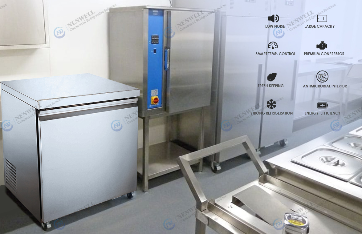 NW-UUC27R Komerční kuchyně Malá velikost Jednodveřová nerezová podpultová lednička Cena na prodej |továrna a výrobci