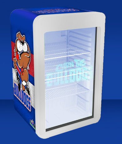 Branding Eżempju-Retro Style Display Fridge (Cooler) 3