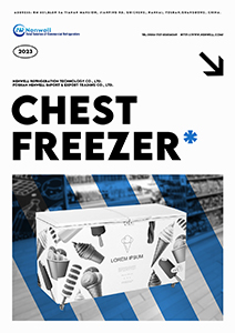 Chest freezer from Nenwell Commercial Refrigerator Catalogue