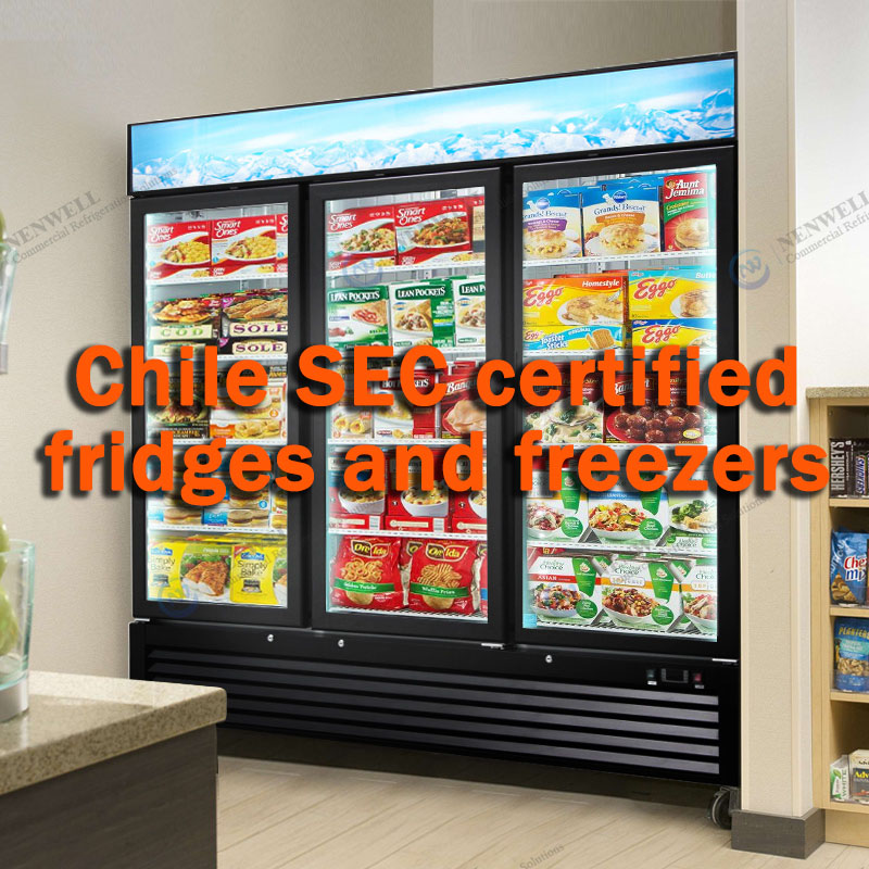 Refrigerator Certification: Chile SEC Certified Fridge & Freezer for Chilean Market