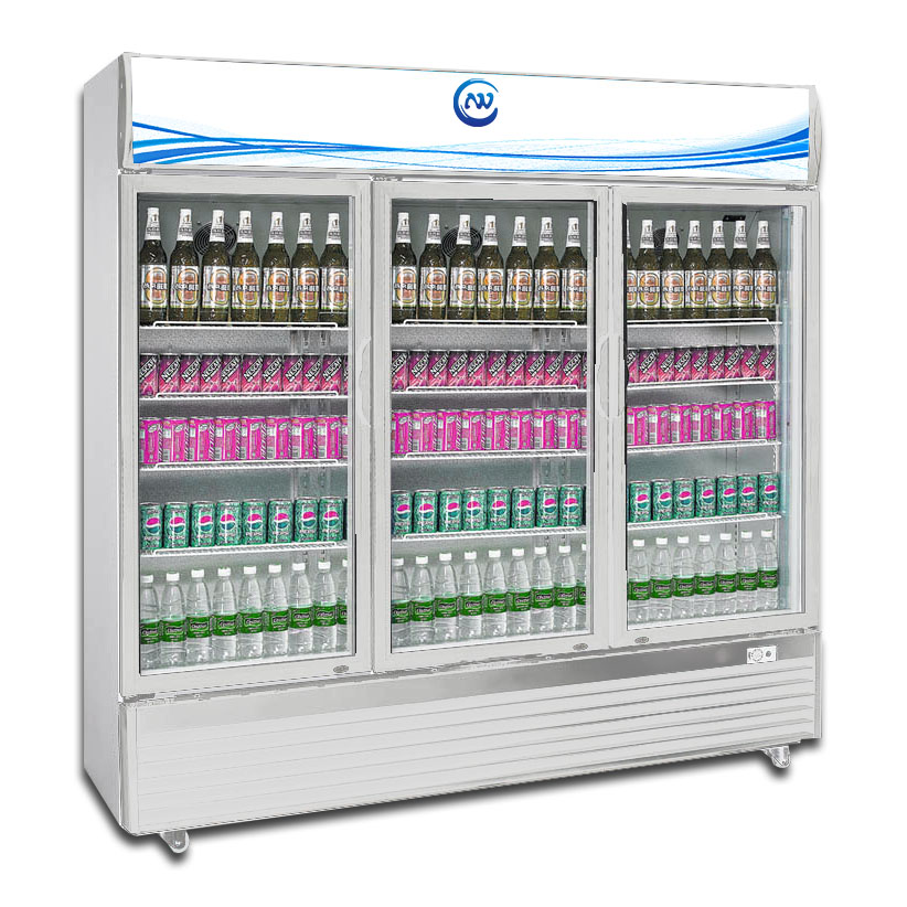 China Cheap Glass Door Display Freezers MG1020