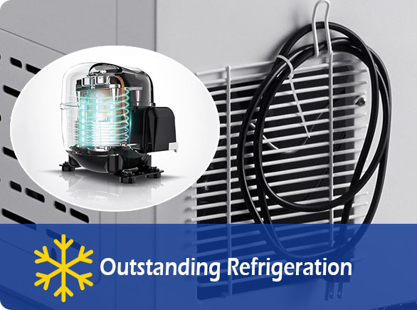 Outstanding Refrigeration | NW-BD100-150-200 storage chest freezer