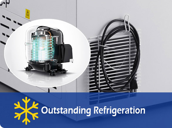 Outstanding Refrigeration | NW-BD193-243-283-313 chest fridge for sale