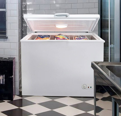 nenwell chest freezer BD200