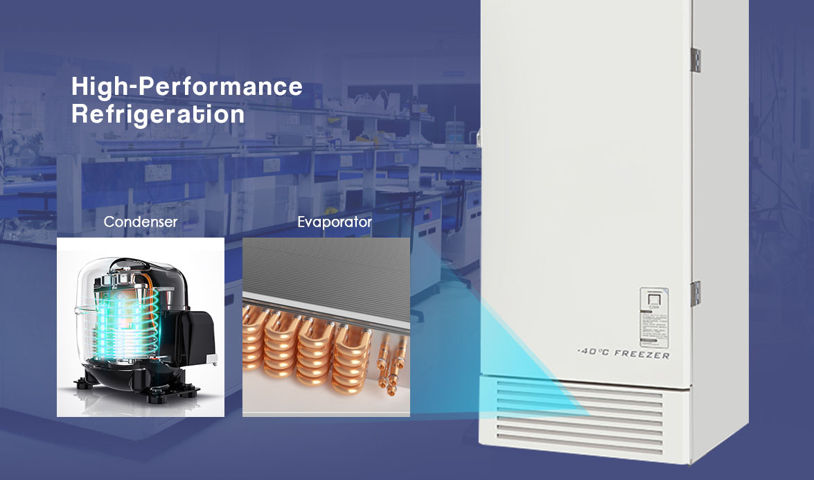 High-Performance Refrigeration | NW-DWFL439 Low Temp Freezer