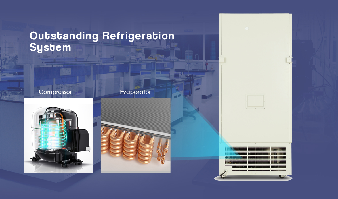 Laboratory Ultra Low Temperature Cost-Effective Deep Freezers And  Refrigerators Price For Sale