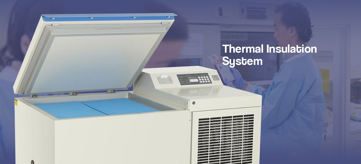 Thermal Insulation System | NW-DWUW128-258 Cryogenic Freezer For Sale
