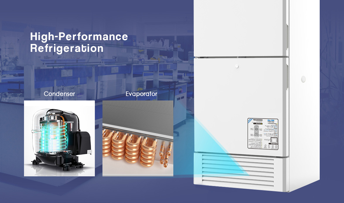 High-Performance Refrigeration | NW-DWYL450 Laboratory Freezer Refrigerator