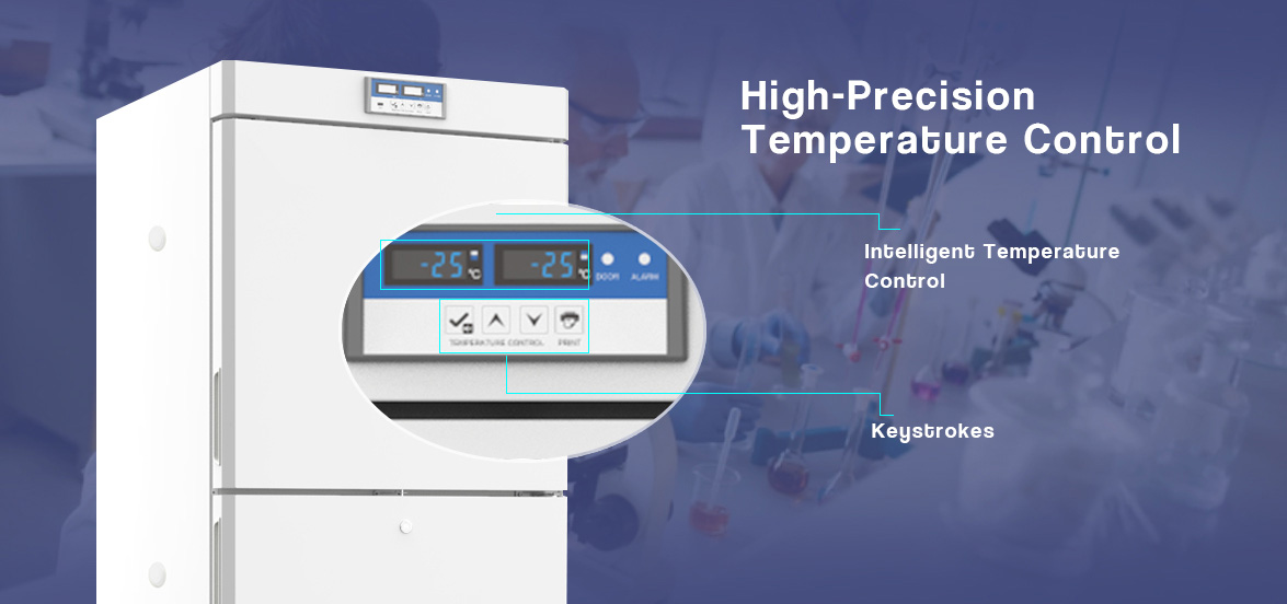 High-Precision Temperature Control | NW-DWYL450 Laboratory Freezer Price