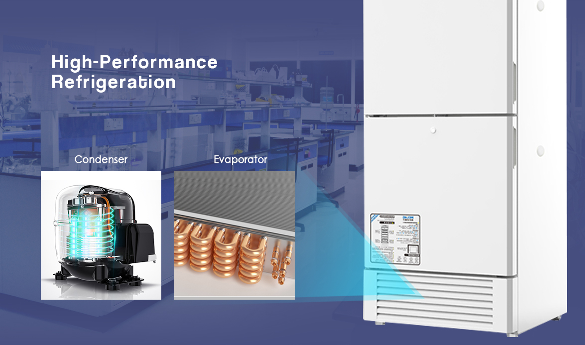 High-Performance Refrigeration | NW-DWYL90 Small Lab Freezer