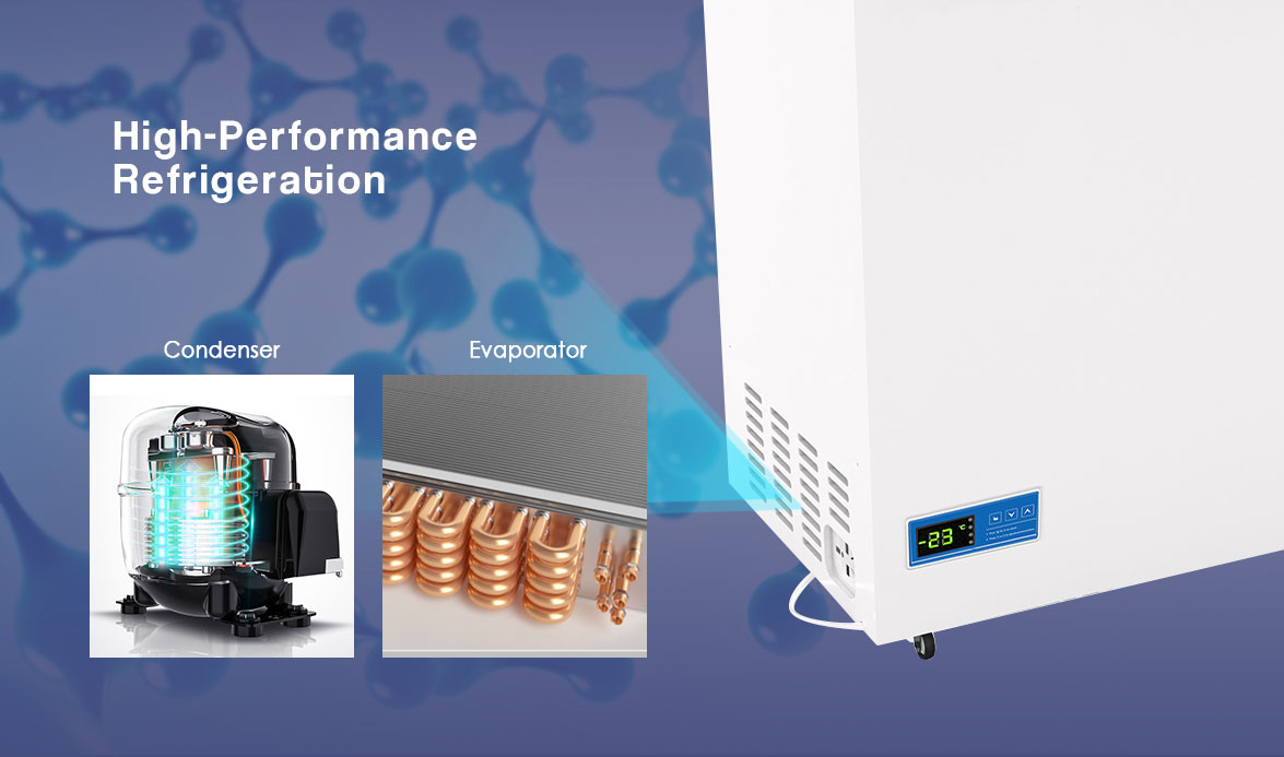 High-Performance Refrigeration | NW-DWYW226A-358A-508A Biological Chest Freezer