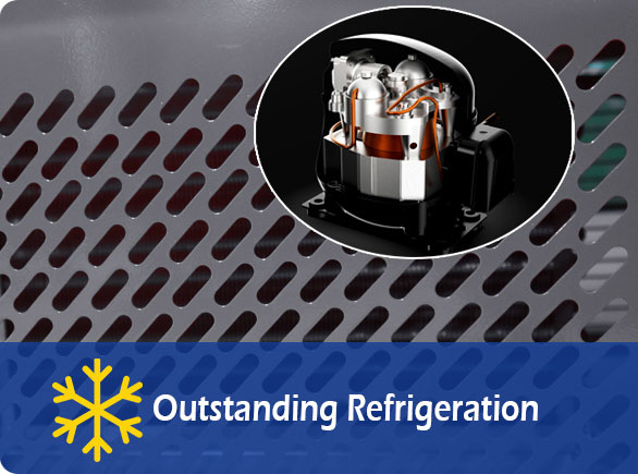 Refrigeration Outstanding |Karûbarê NW-RG20C li ser counter