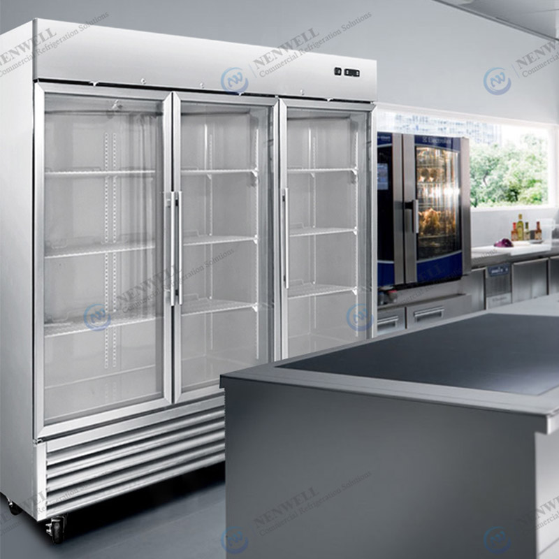 Restaurant Kitchen See Through Glass Door Frozen Storage Refrigerator Stocking Iced Meat