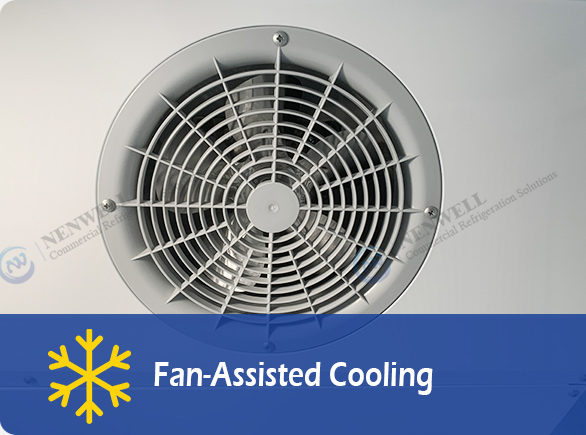 Kipas-Bantuan Cooling |NW-UF2110 nangtung panto kaca freezer