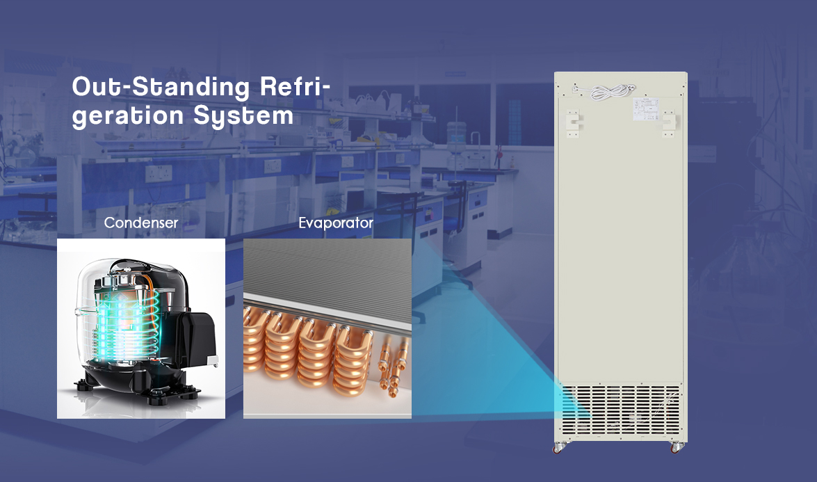 NW-XC368L Outstanding Refrigeration System | blood storage fridge
