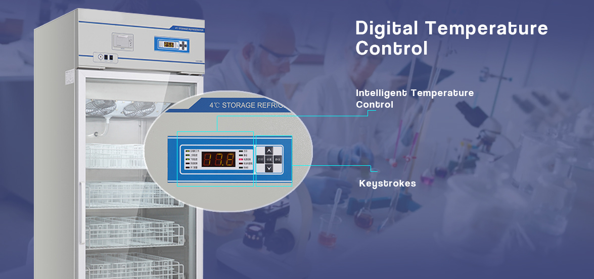 NW-XC588L Digital Temperature Control | blood bank refrigeration price