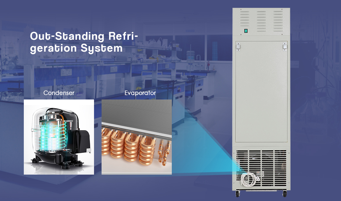 NW-XC88L Outstanding Refrigeration System | blood storage refrigerator price