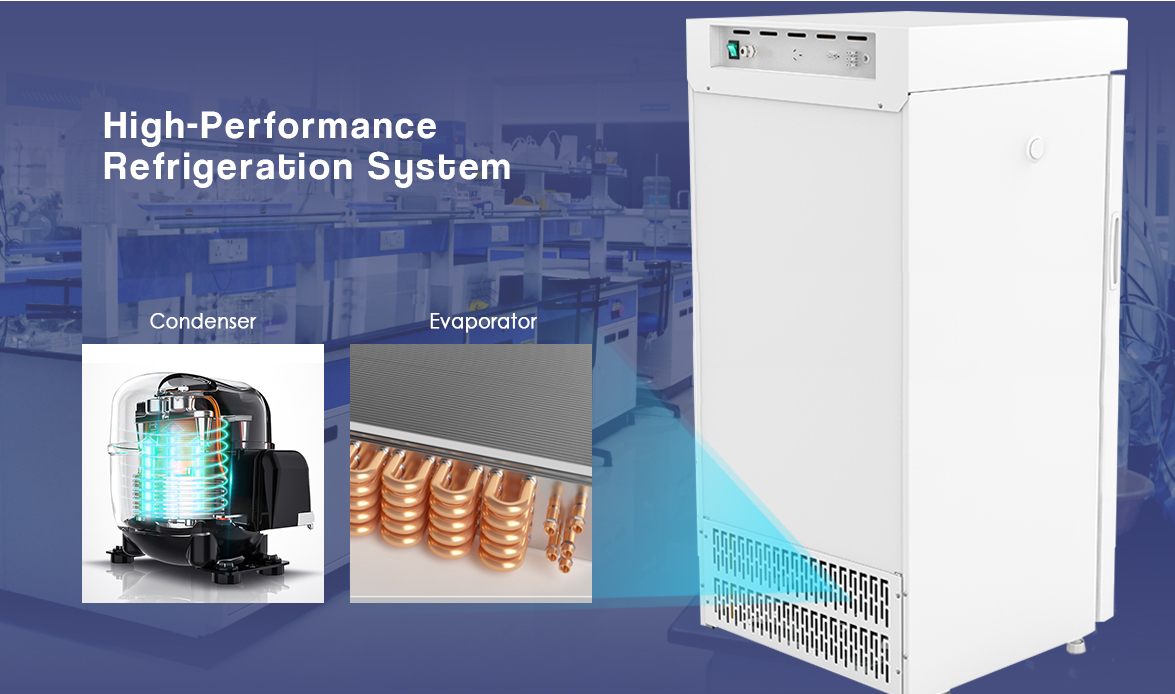 NW-YC1505L vaccine storage refrigerator | High-Performance Refrigeration System