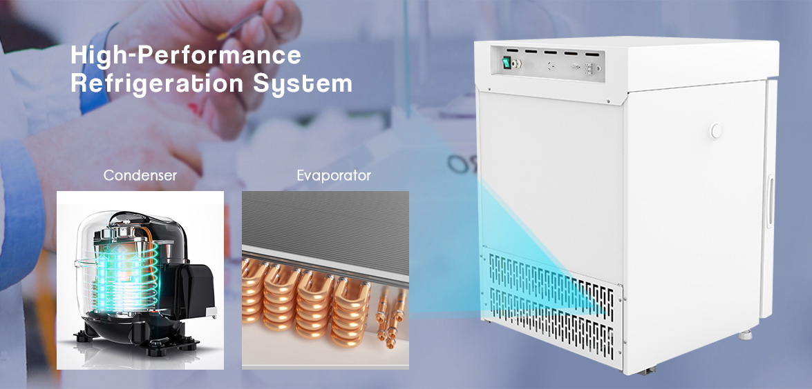 NW-YC55L Small Pharmacy Refrigerator With High Performance