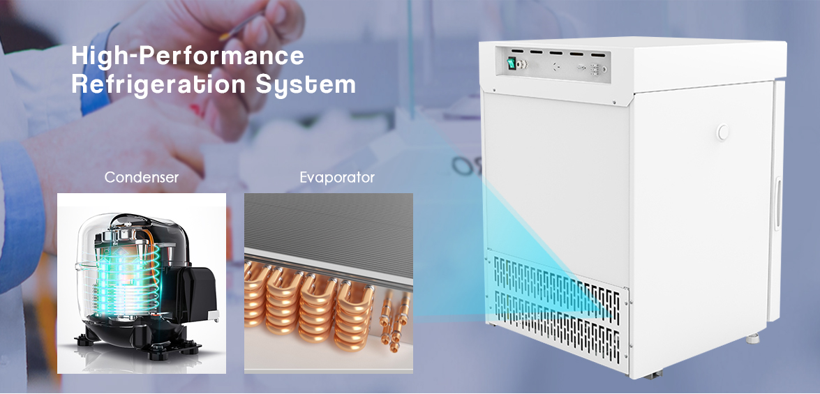 NW-YC75L undercounter medical refrigerator with high-performance refrigeration system