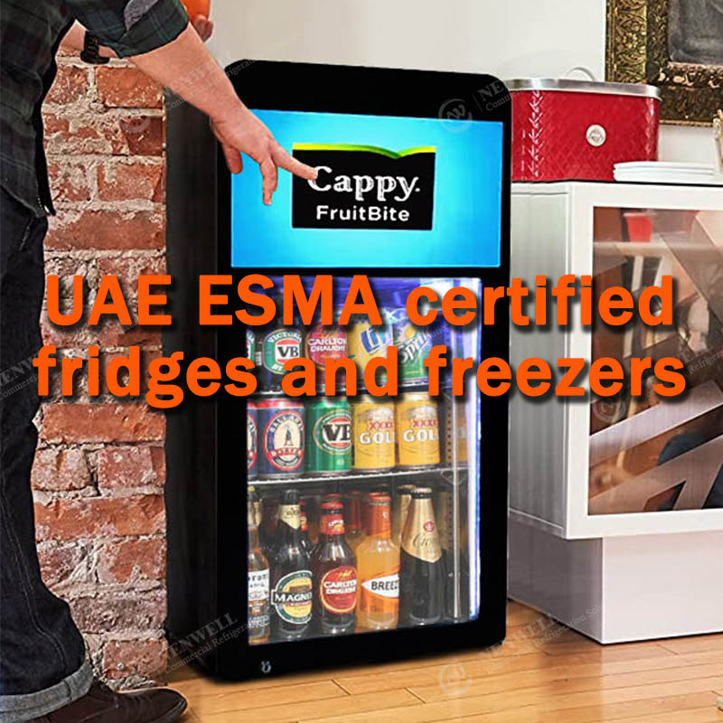 Refrigerator Certification: UAE ESMA Certified Fridge & Freezer for Emiratis Market
