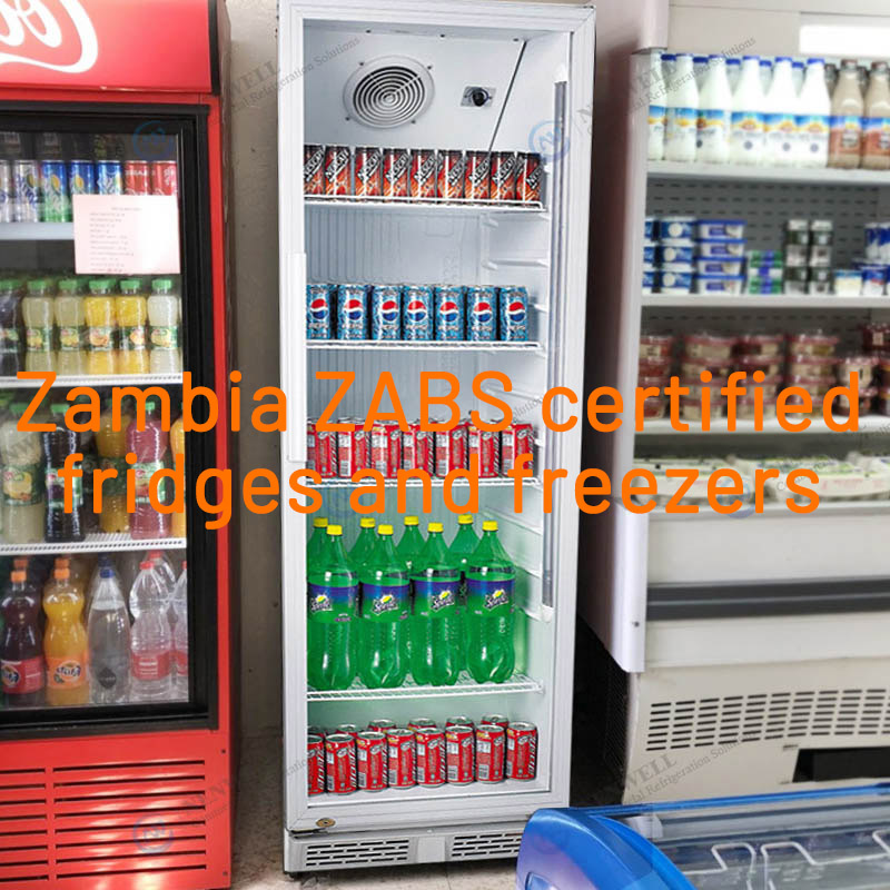 Refrigerator Certification: Zambia ZABS Certified Fridge & Freezer for Zambian Market