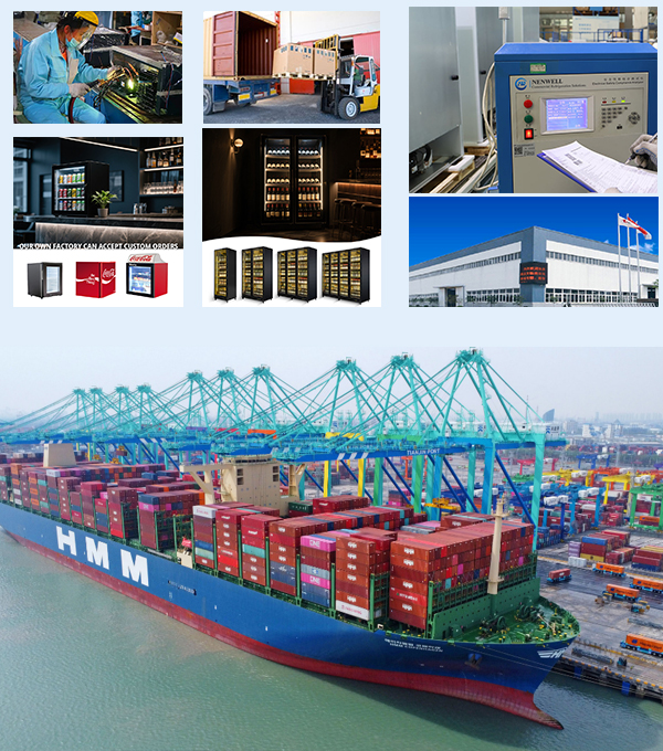 Challenges in Overseas New Markets for Nenwell Refrigerators in 2025