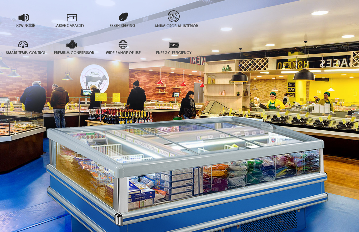 NW-DG20 25 30 Supermarket Plug-In Deep Frozen Food Storage Island Display Freezer Price For Sale | factory and manufacturers