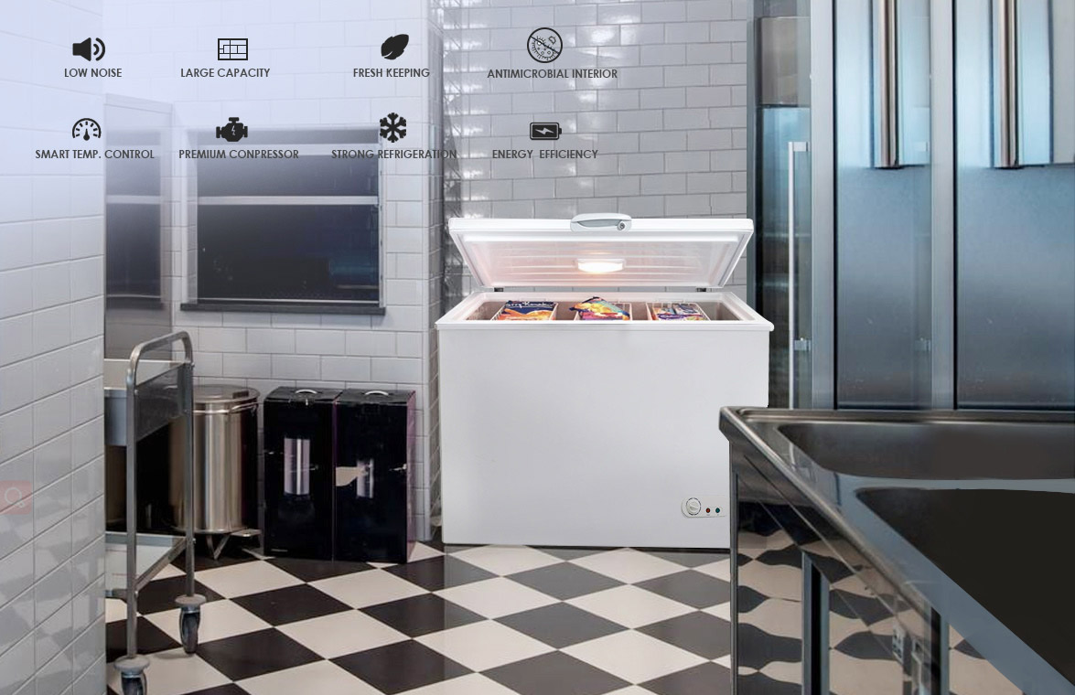 NW-BD100 100l Commercial Single Door Chest Freezer With Gems Meps