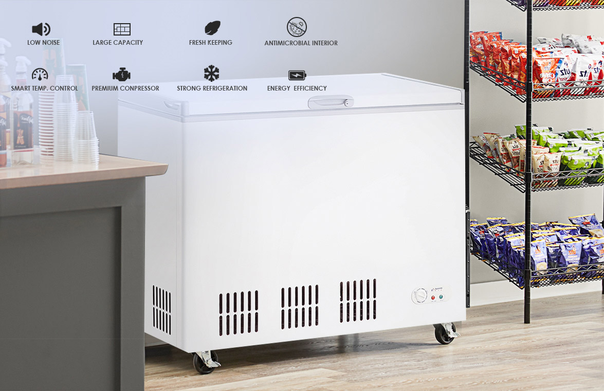 NW-BD193 243 283 313 Commercial Food Deep Storage Chest Freezer With Fridge For Sale | factory and manufacturers