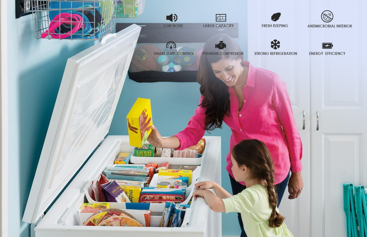 NW-BD420 Best Catering Small Deep Frozen Meat Storage Chest Freezer Fridge Price For Sale | factory and manufacturers