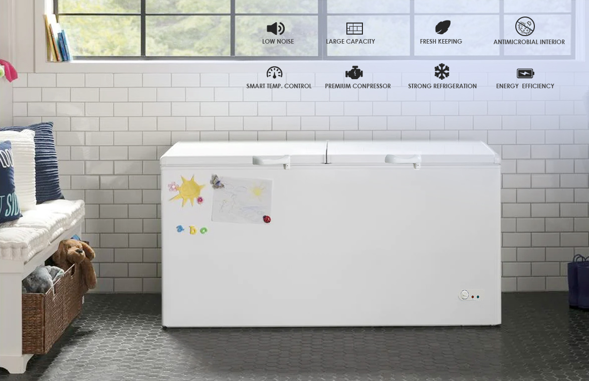 NW-BD520 620 720 Ice Cream Storage Deep Chest Type Freezer And Refrigerator Price For Sale | factory and manufacturers