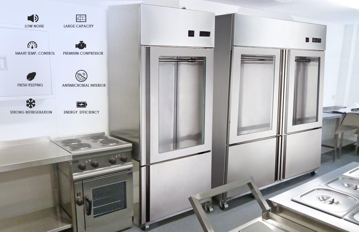 NW-D06D D10D Commercial Stand Up 2 Glass Front Door NW-D06D D10D Display Stainless Steel Reach-In Refrigerator And Freezer | factory and manufacturers