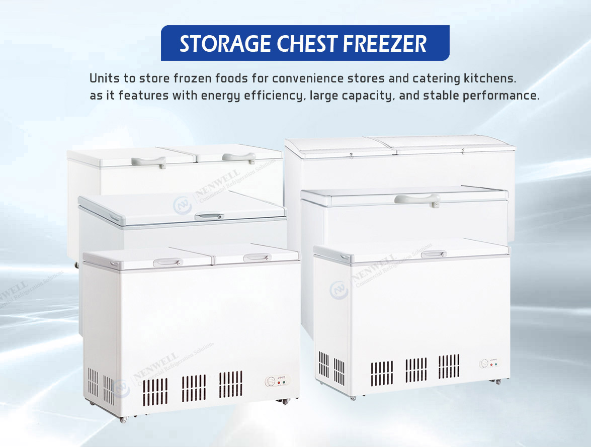 Commercial Chest Freezer Is An Cost-Effective Solution For Food Business