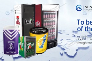 Mga Kapaki-pakinabang na Gabay Para Pumili ng Tamang Commercial Freezer Para sa Retail Business